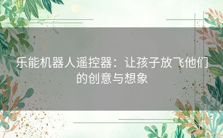 乐能机器人遥控器：让孩子放飞他们的创意与想象