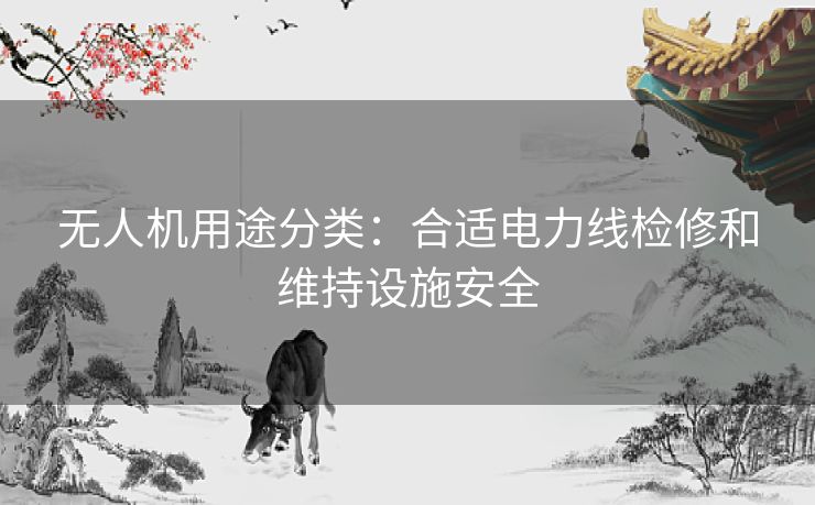 无人机用途分类：合适电力线检修和维持设施安全