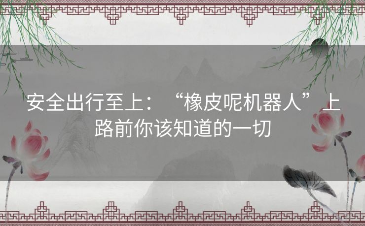 安全出行至上：“橡皮呢机器人”上路前你该知道的一切