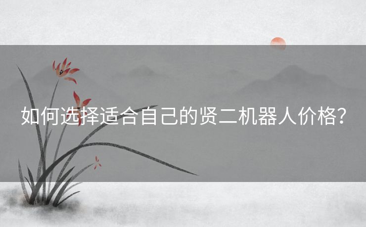 如何选择适合自己的贤二机器人价格？