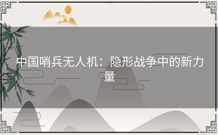 中国哨兵无人机：隐形战争中的新力量