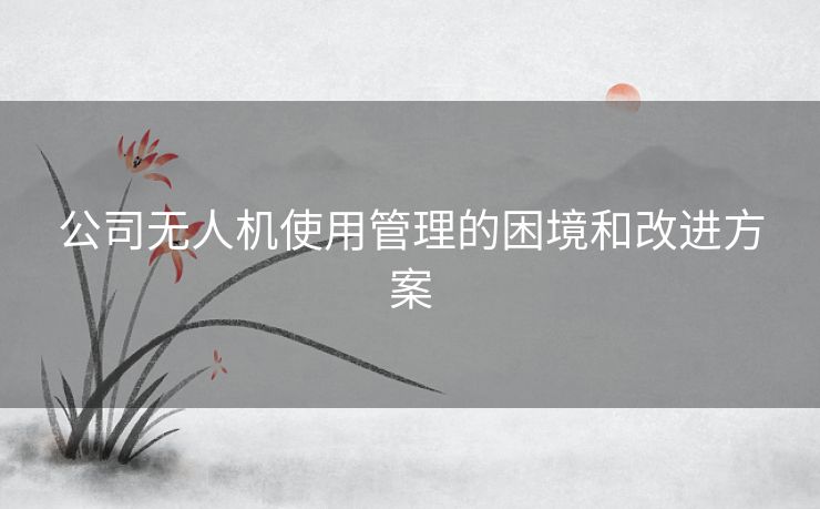 公司无人机使用管理的困境和改进方案